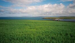 Tour of Orkney-007.jpg