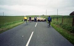 Tour of Orkney-047.jpg