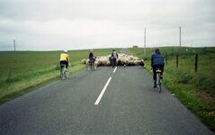 Tour of Orkney-048.jpg